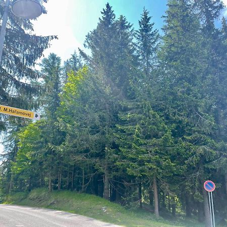 Tatry Ela Big Apartment Strbske Pleso ภายนอก รูปภาพ