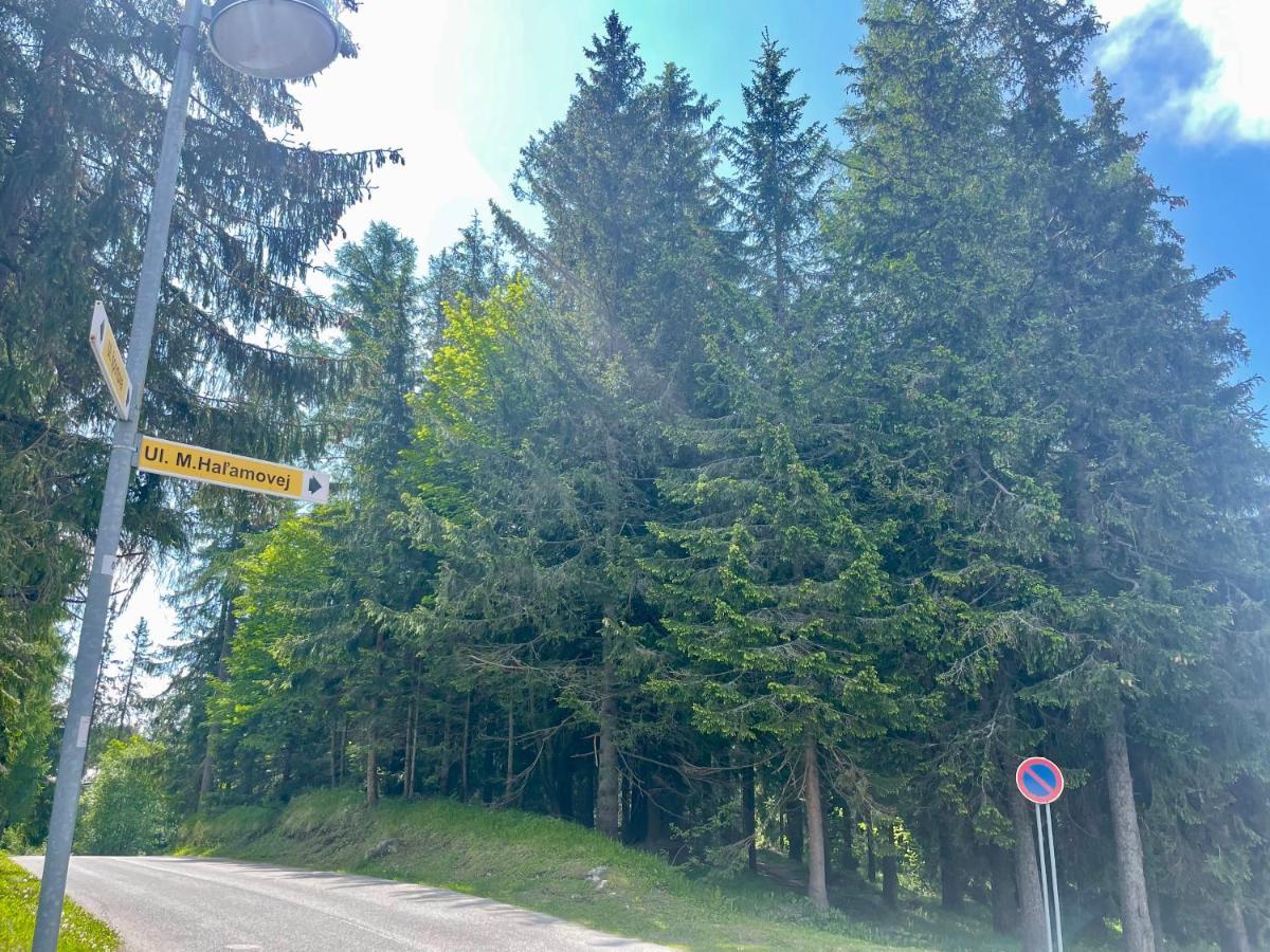 Tatry Ela Big Apartment Strbske Pleso ภายนอก รูปภาพ